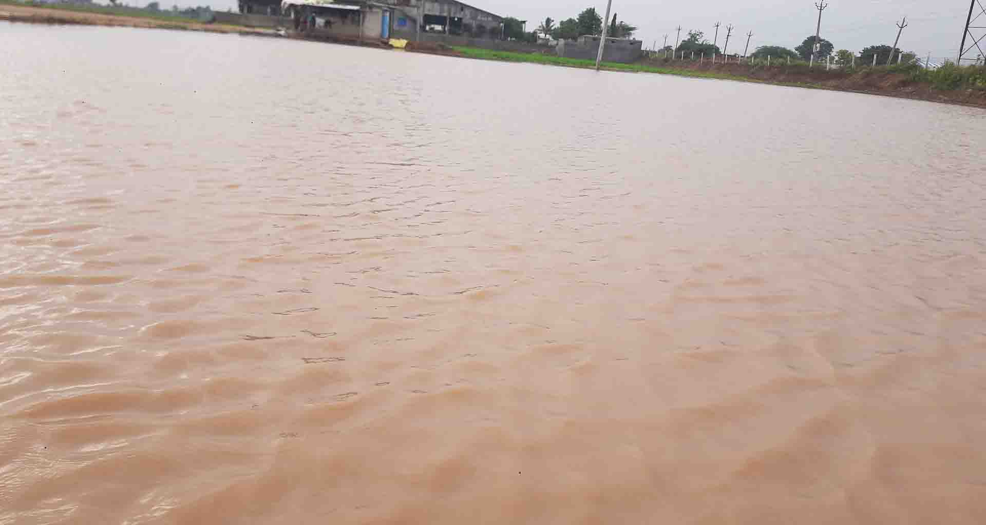 બનાસકાંઠા જિલ્લામાં તમામ તાલુકાઓમાં મધ્યમથી ભારે વરસાદ થતાં જનજીવન પ્રભાવિત