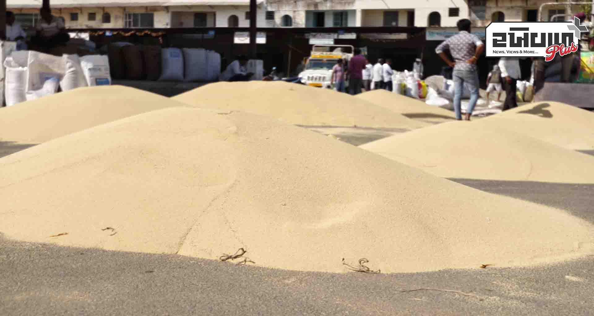 હોળી ધુળેટી ના મીની વેકેશન બાદ માર્કેટયાર્ડમાં જણસીની આવક શરૂ થઇ