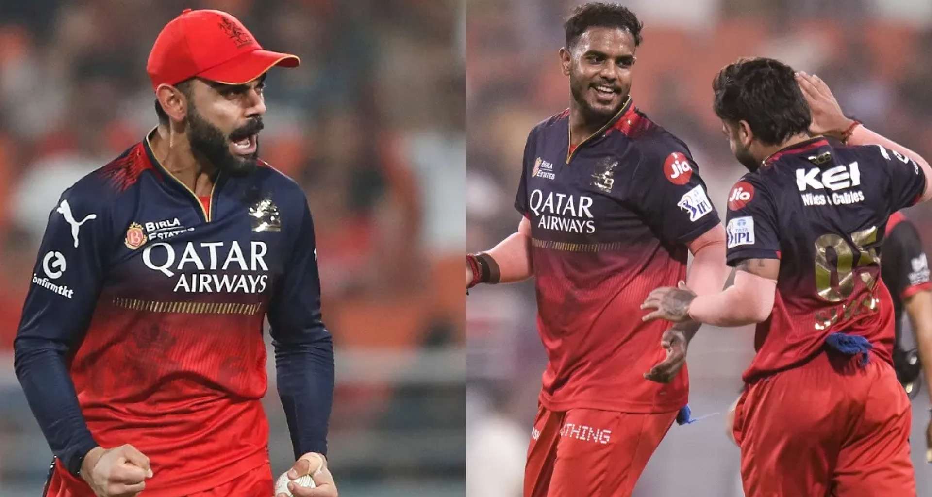 IPL ફાઇનલમાં RCBએ શાનદાર એન્ટ્રી કરી