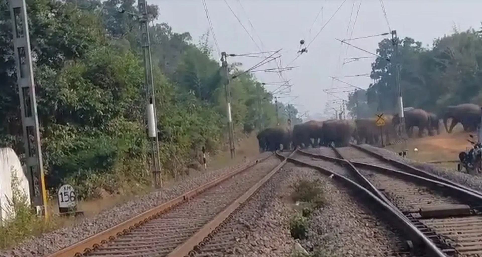 રેલવે ટ્રેક પર ફરી પહોંચ્યું 30 હાથીઓનું ટોળું