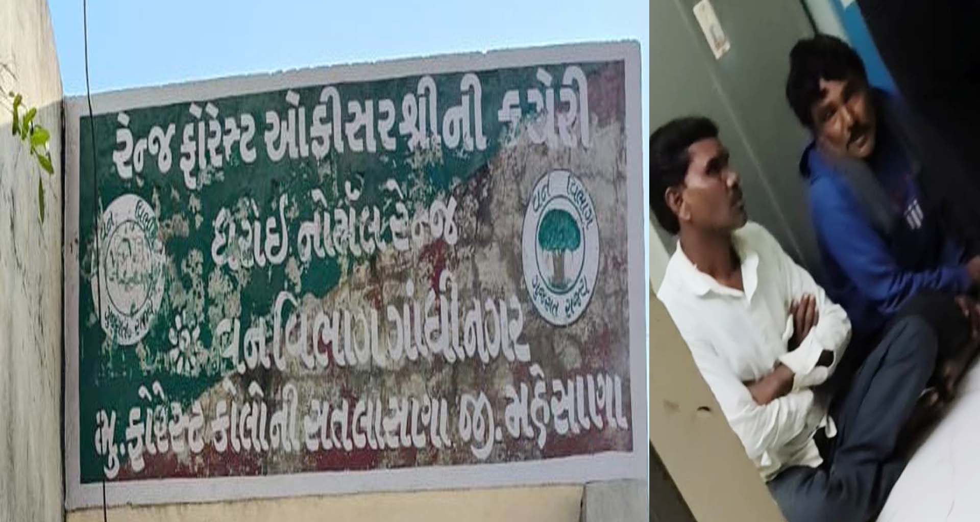 મહેસાણાના ધરોઈમાં આરક્ષિત પ્રાણી શાહુડીનો શિકાર કરતાં બે શખ્સો ઝડપાયા