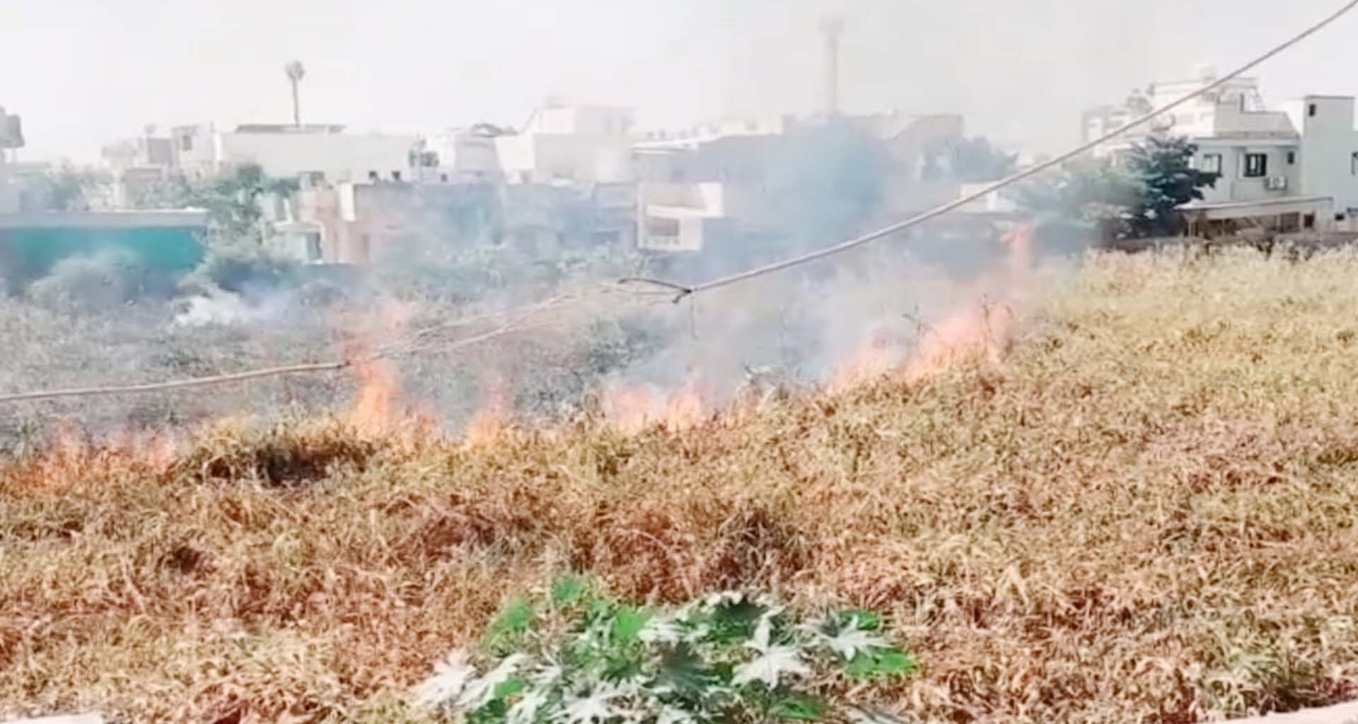 ભાભરના વાવ રોડ ખેતરમાં આગ લાગતા જુવારના ઘાસચારાને નુકશાન