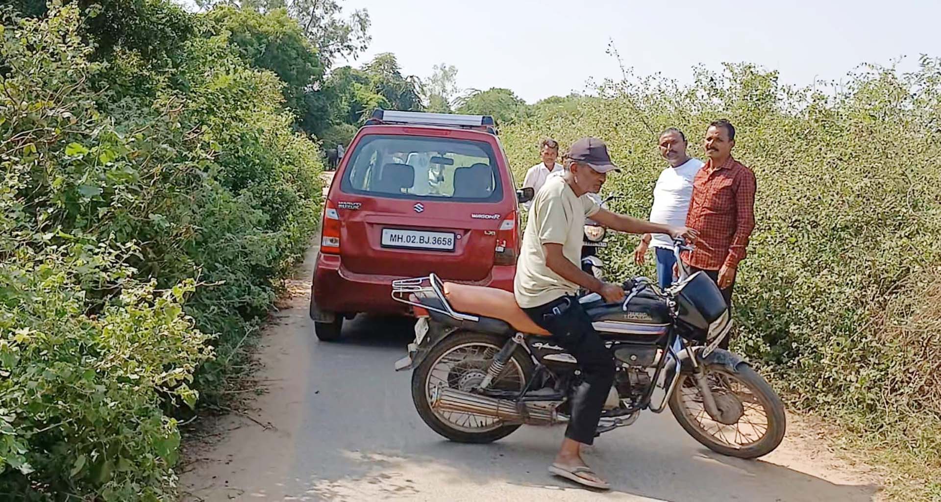 પાલનપુર તાલુકાના ગઢ-હોડા રોડ પર ઝાડી ઝાંખરાથી વાહન ચાલકો પરેશાન