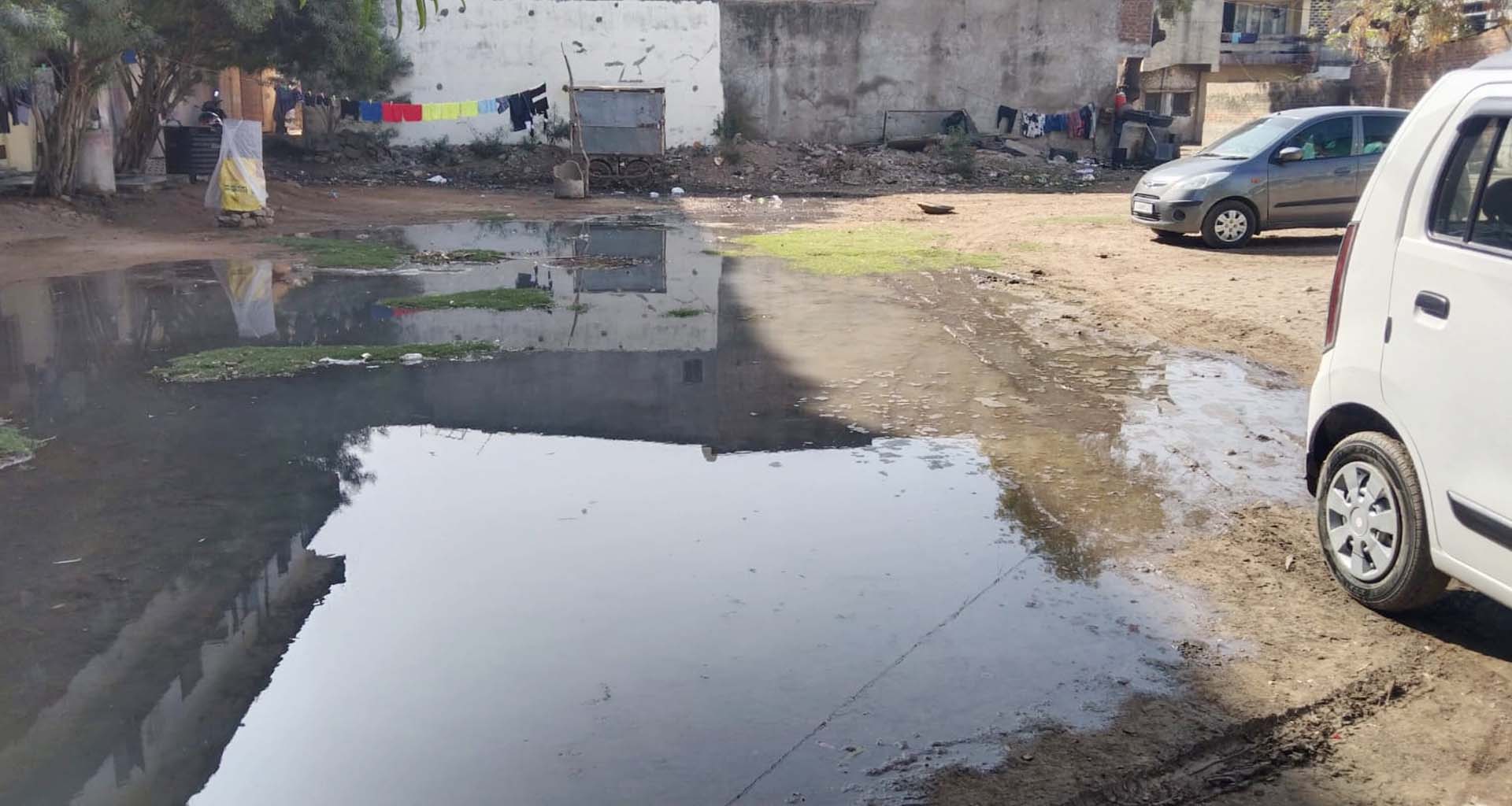 પાલનપુરના ઢૂંઢિયાવાડીમાં દેવ ચેમ્બર્સ પાછળ ગંદકીનું સામ્રાજ્ય : રોગચાળાની ભીતિ