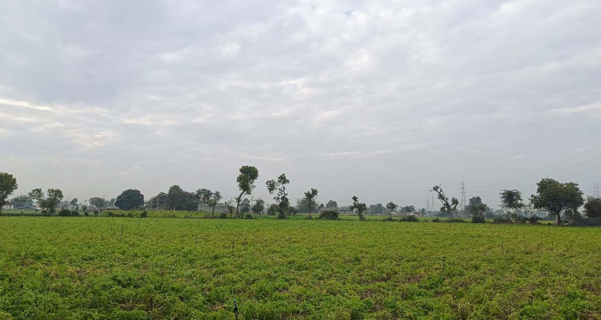 બનાસકાંઠામાં વાદળછાયા વાતાવરણથી ઠંડીમાં રાહત, લઘુત્તમ તાપમાનમાં નોંધપાત્ર વધારો