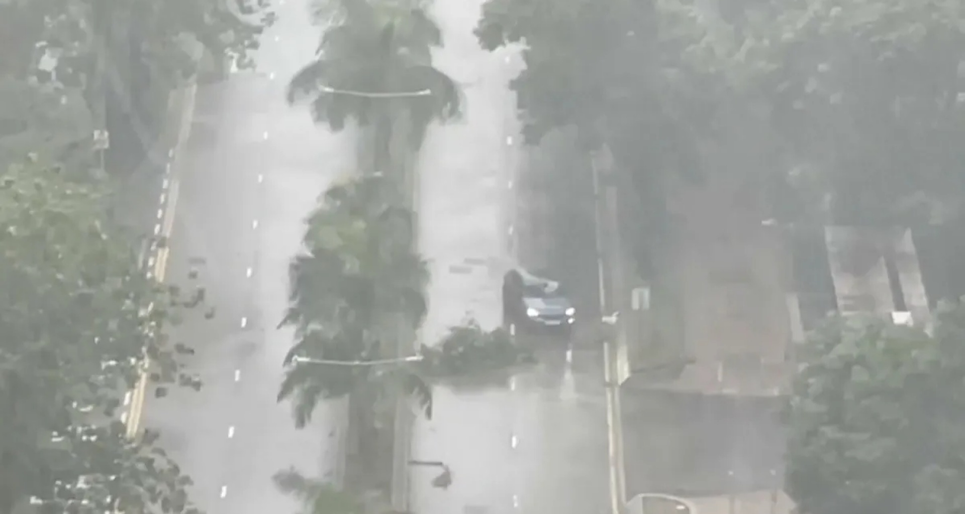 વાવાઝોડા તાપાહની અસર: હોંગકોંગમાં શાળાઓ બંધ, ઘણી ફ્લાઇટ્સ રદ, ચીનમાં હજારો લોકોને સલામત સ્થળોએ મોકલવામાં આવ્યા