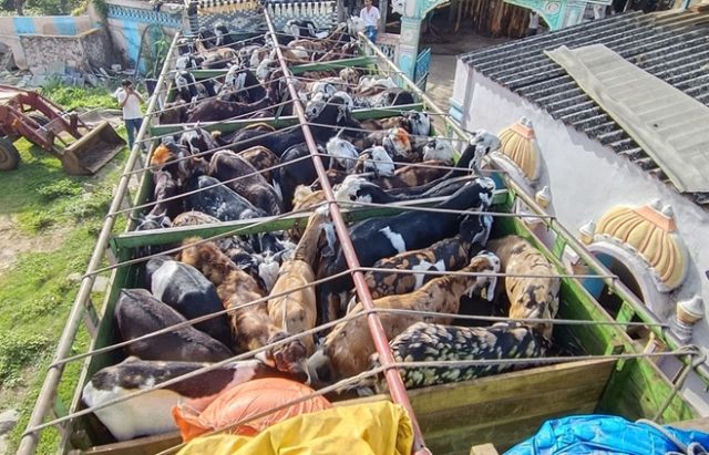 વાપી હાઈવે પરથી બકરા ભરેલી એક ટ્રકને ઊભી રાખી તપાસ કરતાં ગેરકાયદેસર અને ક્રૂરતાનો થયો ઘટસ્ફોટ