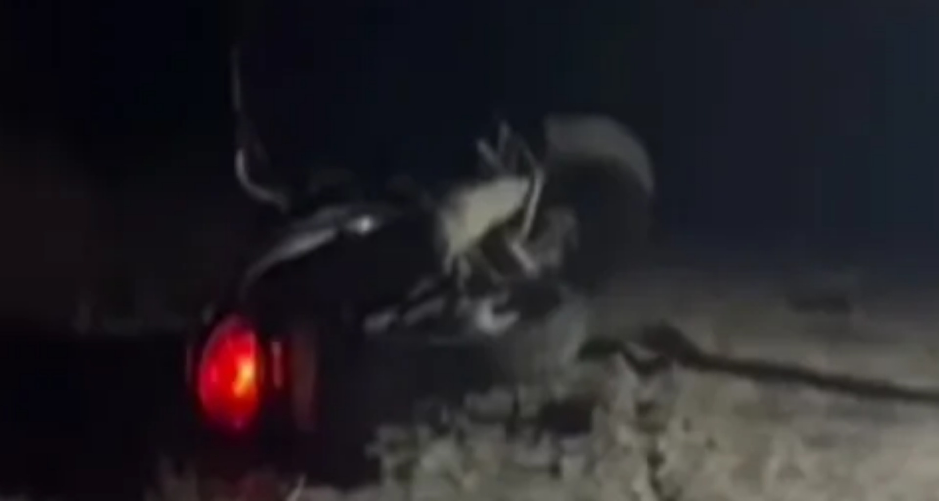 લોરેન્સ બિશ્નોઈ ગેંગ સામે મોટી કાર્યવાહી, દિલ્હી પોલીસે એન્કાઉન્ટર બાદ ત્રણ વોન્ટેડ શૂટરની ધરપકડ કરી