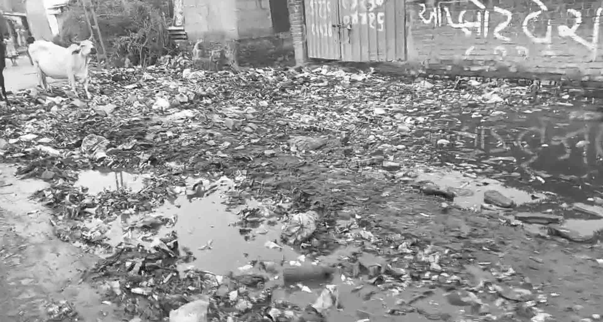 ડીસાના વોર્ડ નં. ૯ માં આવેલ બડાપુરા વિસ્તાર ગંદકીમાં ગરકાવ