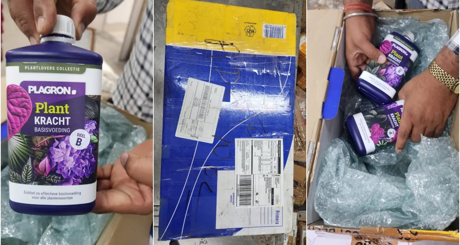 NCB એ ડાર્કનેટ ડ્રગ માફિયા પર કાર્યવાહી કરી, અનેક દેશોમાં ફેલાયેલા 'ટીમ કલ્કી' નેટવર્કનો પર્દાફાશ કર્યો