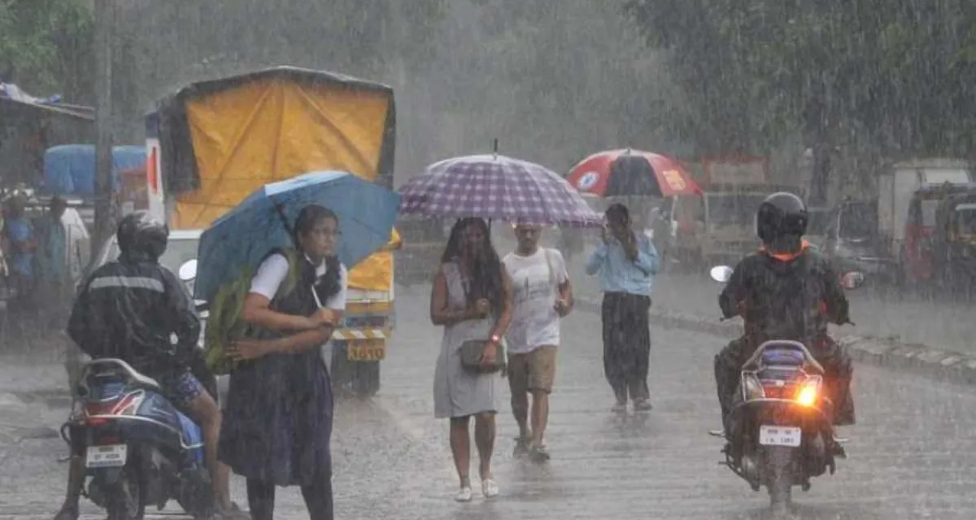 તમારી છત્રી તૈયાર રાખો! ચોમાસનીજોરદાર એન્ટ્રી, દિલ્હી અને યુપી સહિત દેશના ઘણા ભાગોમાં પડશે વરસાદ