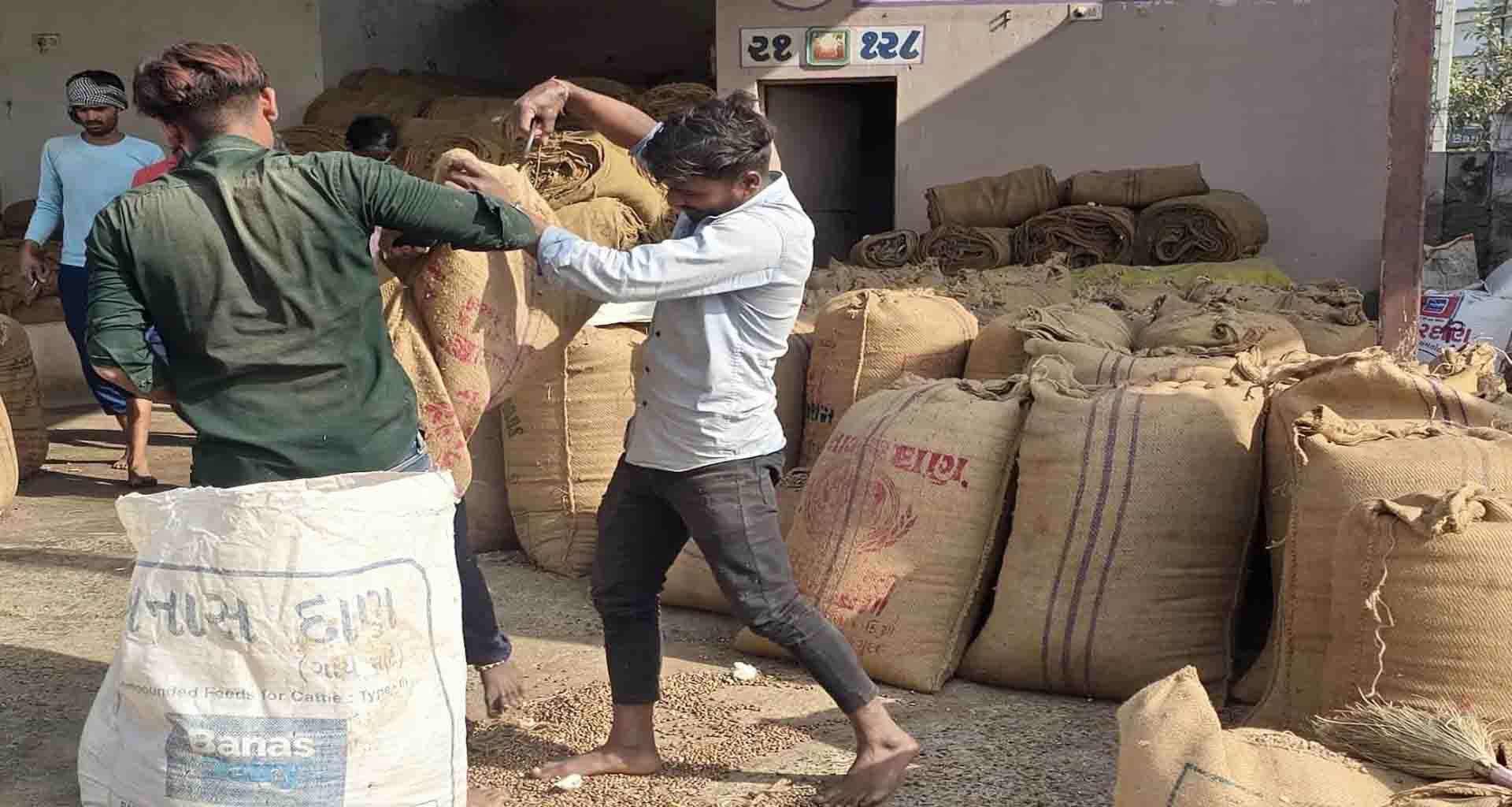 ઊંઝાના ઉનાવા માર્કેટયાર્ડ ખાતે તમાકુની આવકો ઘટી