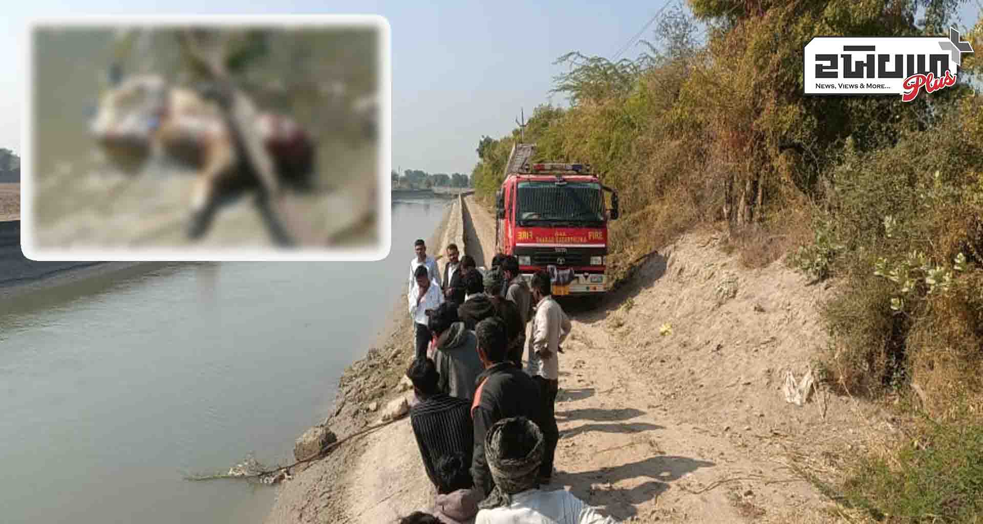 નર્મદાની મુખ્ય કેનાલમાં એક નવજાત શિશુનો મૃતદેહ મળી આવ્યો