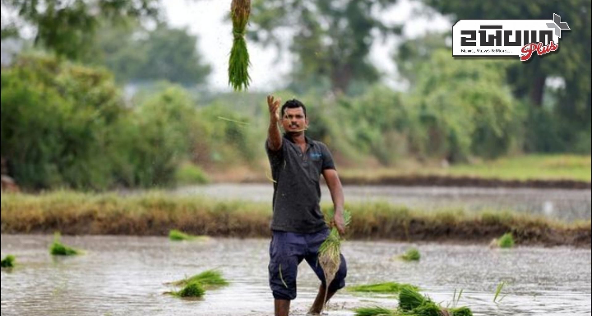 ખેડૂત રજીસ્ટ્રેશનમાં રાજસ્થાન પ્રથમ ક્રમે પહોંચ્યું, કુલ 73 લાખથી વધુ ખેડૂતોએ કરાવી નોંધણી