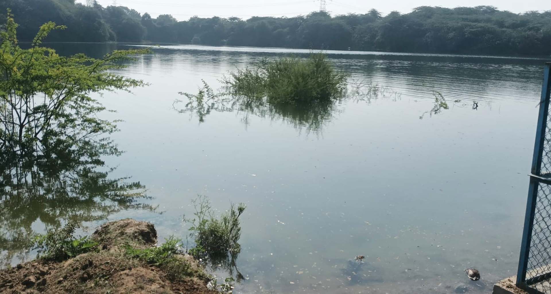 મુડેઠા ગામમાં છેલ્લા પાંચ વર્ષથી એક પણ ફૂટ ભૂગર્ભ જળ ઘટ્યું નહીં...!