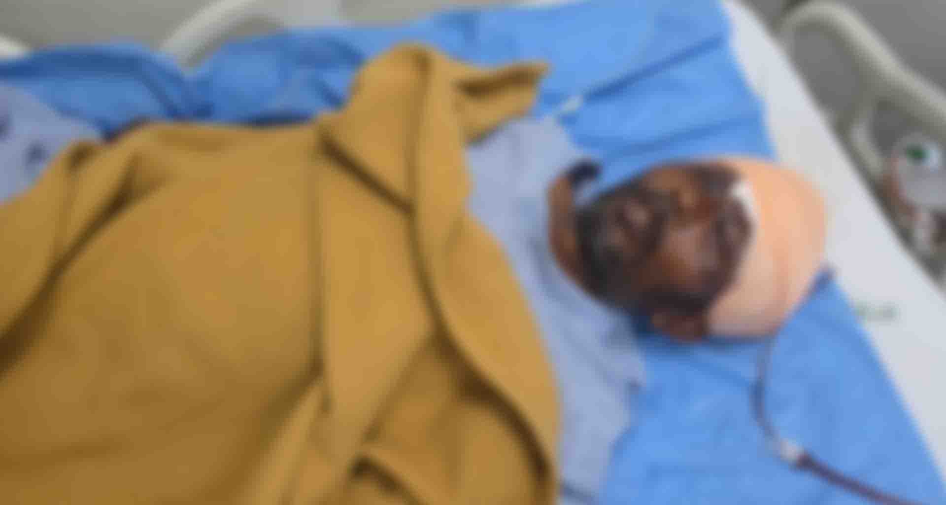 સાબરકાંઠા; સારોલીના જંગલમાં ઢોર ચરાવવા ગયેલ પશુપાલક પર રીંછનો હુમલો