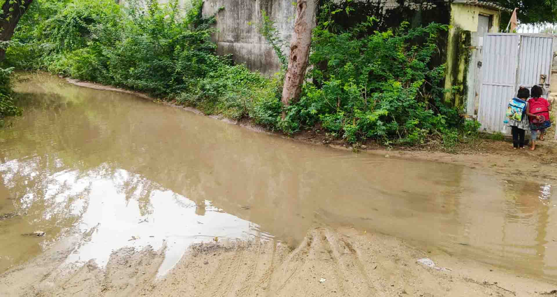 ખેટંવા-સાંડીયા માર્ગ પર વરસાદી પાણીનો જમાવટ, મચ્છરજન્ય રોગચાળો ફાટી નીકળવાની ભીતિ