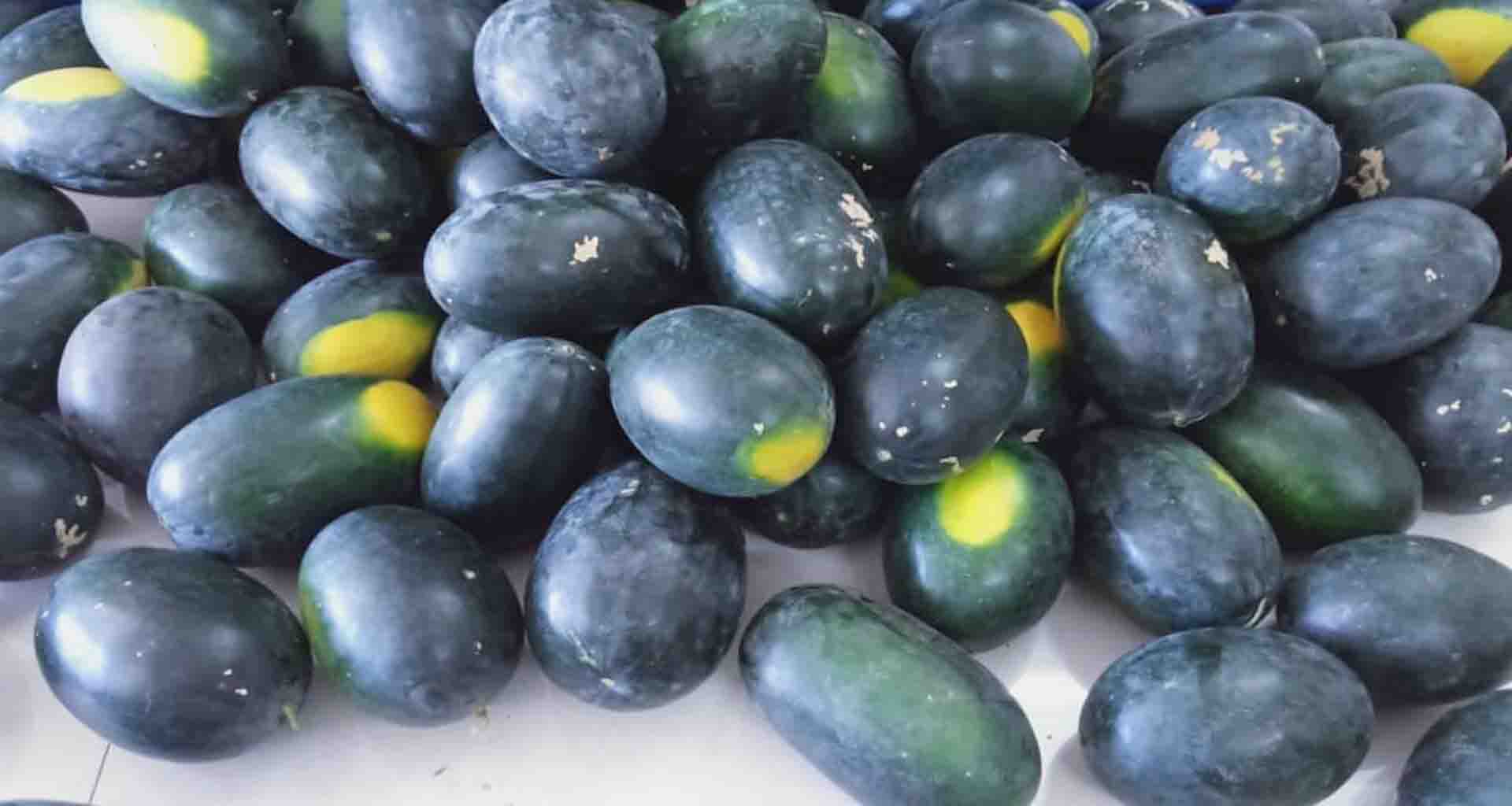 ડીસા તાલુકાના જોરાપુરા ગામના ખેડૂતે છેલ્લા નવ વર્ષથી પ્રાકૃતિક ખેતી થકી આગવી ઓળખ ઊભી કરી