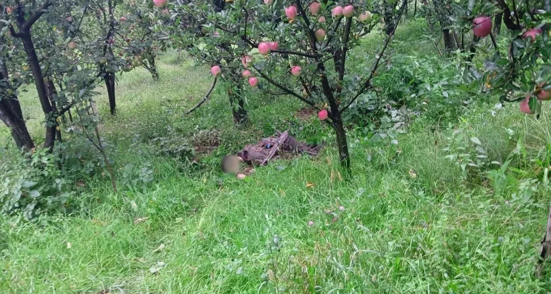 જમ્મુ-કાશ્મીરના કુલગામમાં 2 આતંકવાદીઓ ઠાર, પહેલગામ હુમલા બાદ જાહેર કરાયેલા આતંકવાદીઓની યાદીમાં એકનો સમાવેશ; 2 સેનાના જવાનો પણ શહીદ થયા